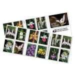 Wild Orchids Stamps