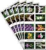 Wild Orchids Stamps