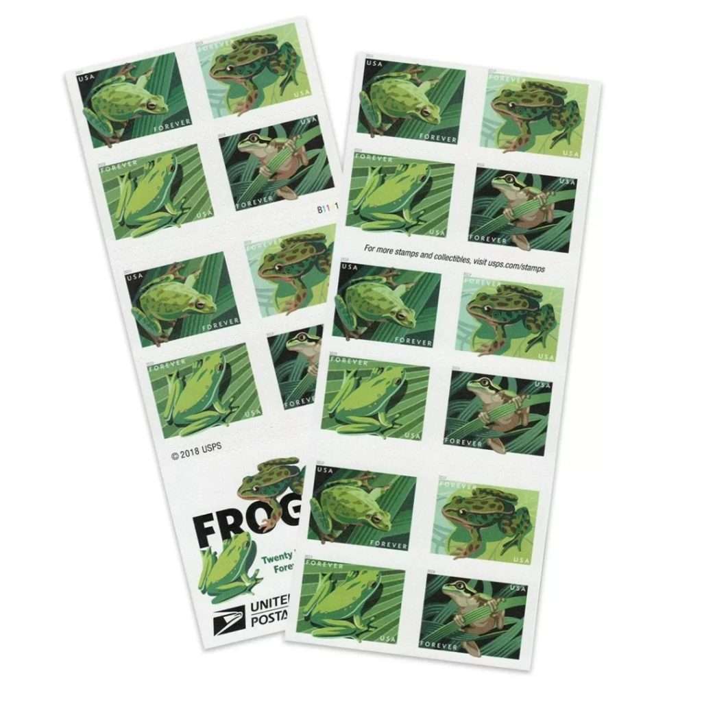 Squirrel Tree Frog Stamps