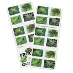 Squirrel Tree Frog Stamps