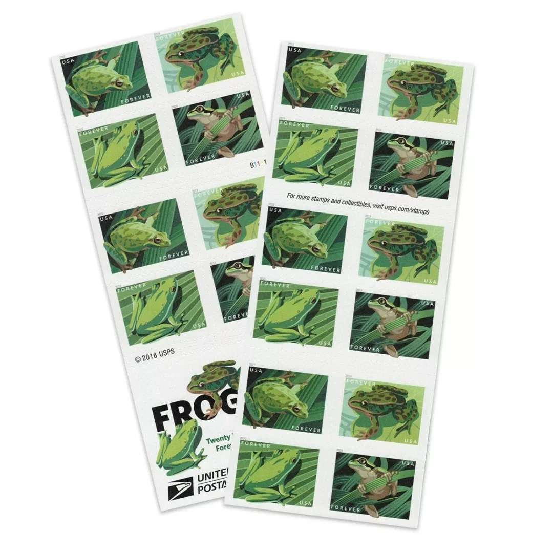 Squirrel Tree Frog Stamps
