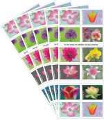 Garden Beauty Stamps