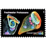 Life Magnified Stamps