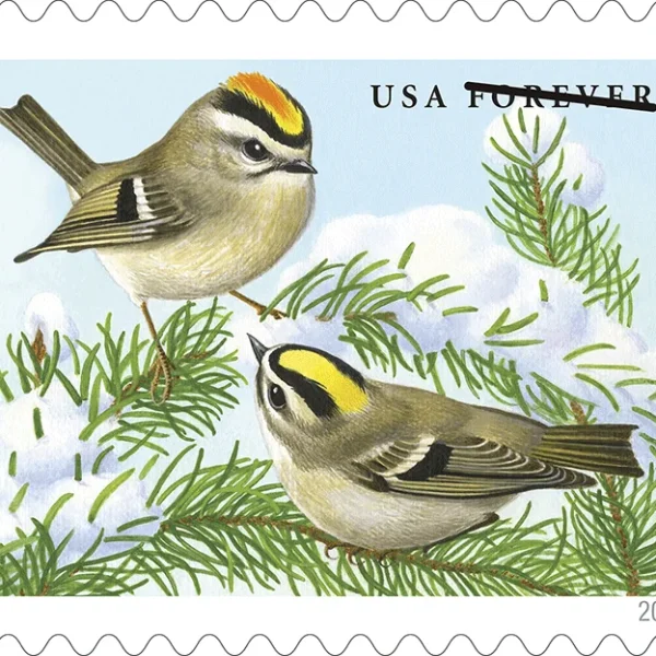 Songbirds in Snow Stamps