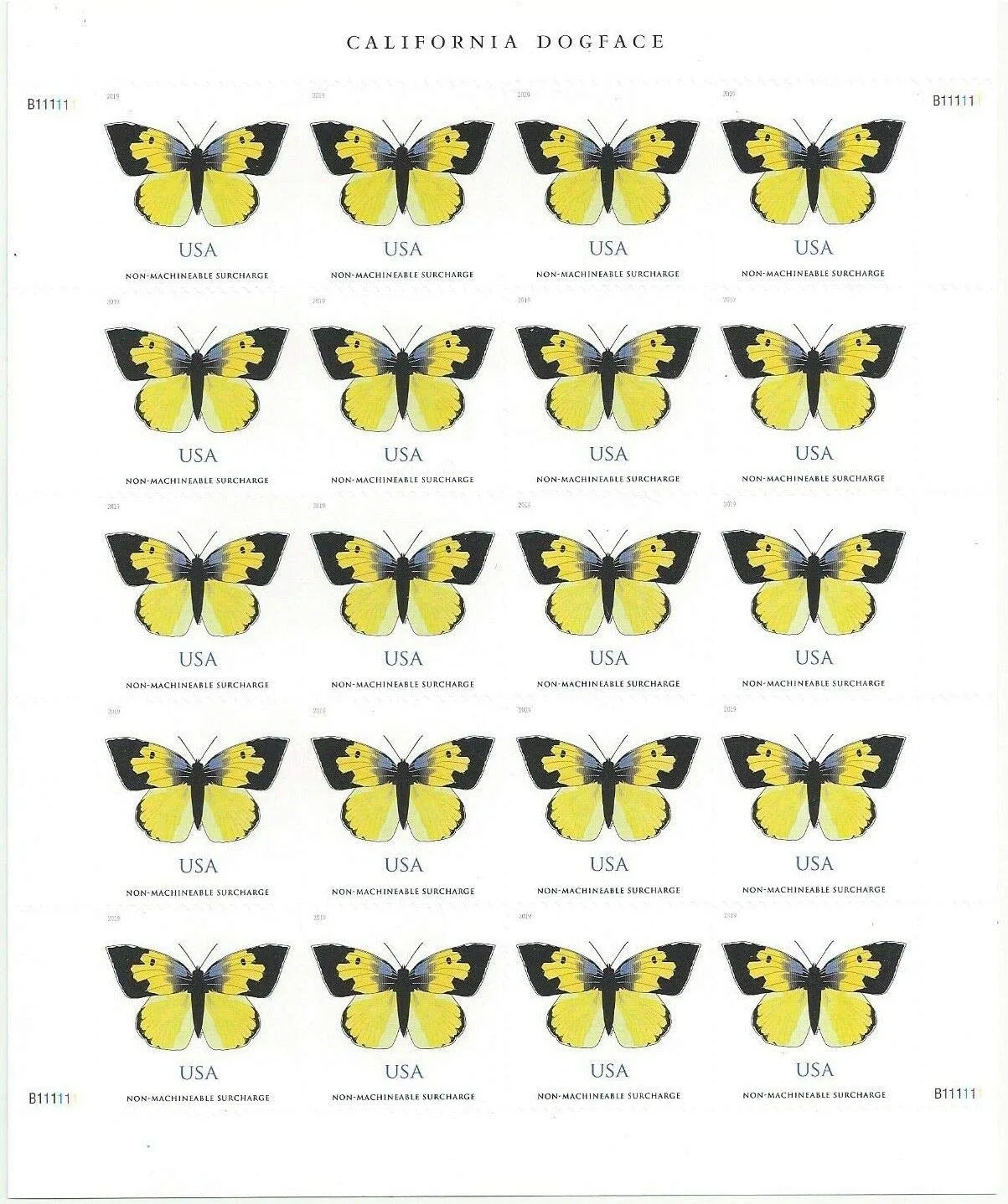 California Dogface Butterfly