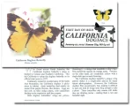 California Dogface Butterfly