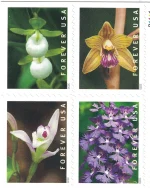Wild Orchids Stamps