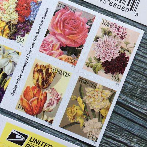 Set of four colorful USPS Forever stamps featuring detailed illustrations of wildflowers: Pasqueflower, Wood Lily, Alpine Buttercup, and Woods' Rose.